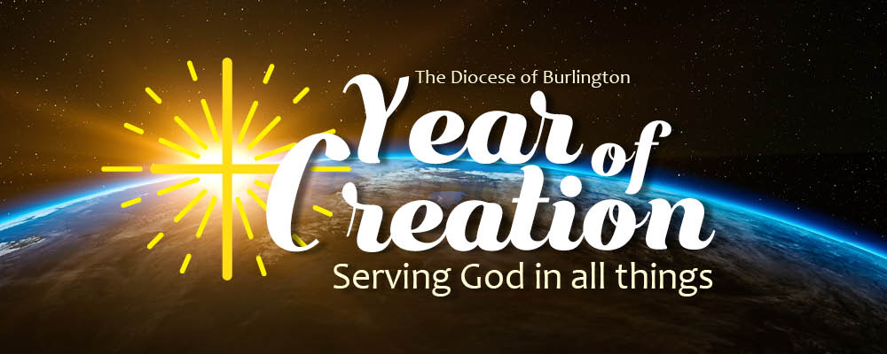 Catholic Diocese to observe 2017 as “Year of Creation”